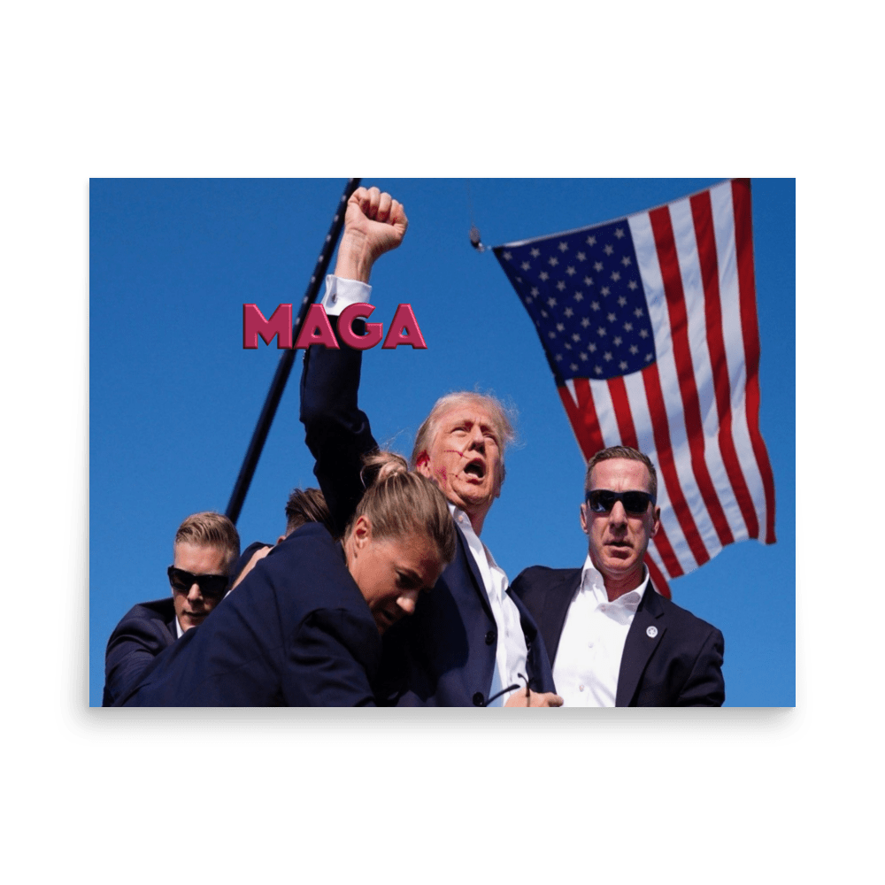 Attempted Assassination of Donald Trump - Enhanced Matte Poster Home & Garden > Decor > Artwork > Posters, Prints, & Visual Artwork