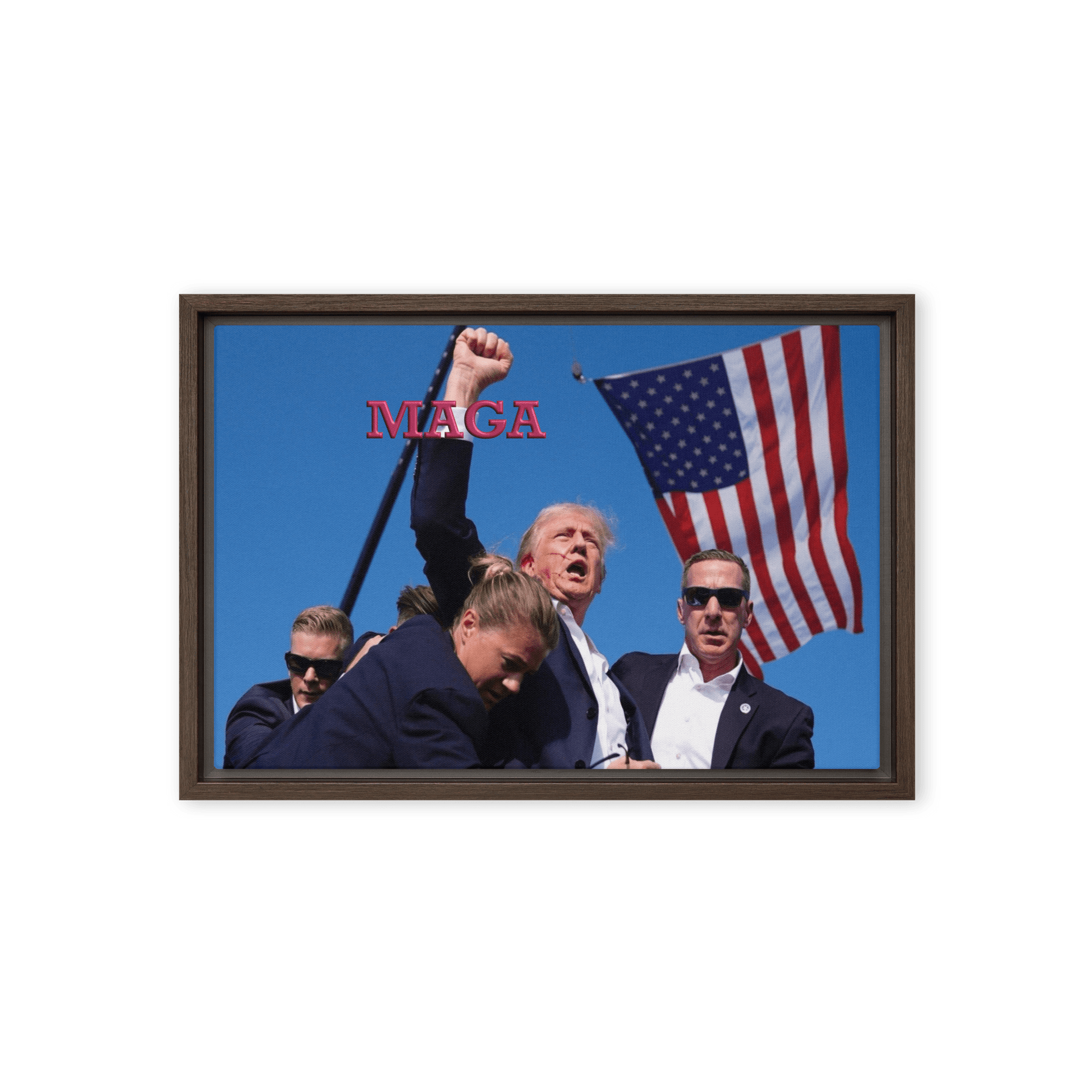 Attempted Assassination of Donald Trump - Framed Canvas Print Home & Garden > Decor > Artwork > Posters, Prints, & Visual Artwork