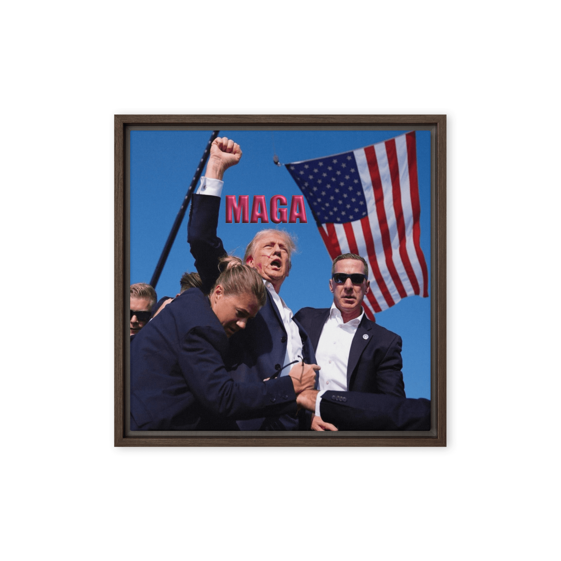 Attempted Assassination of Donald Trump - Framed Canvas Print Home & Garden > Decor > Artwork > Posters, Prints, & Visual Artwork