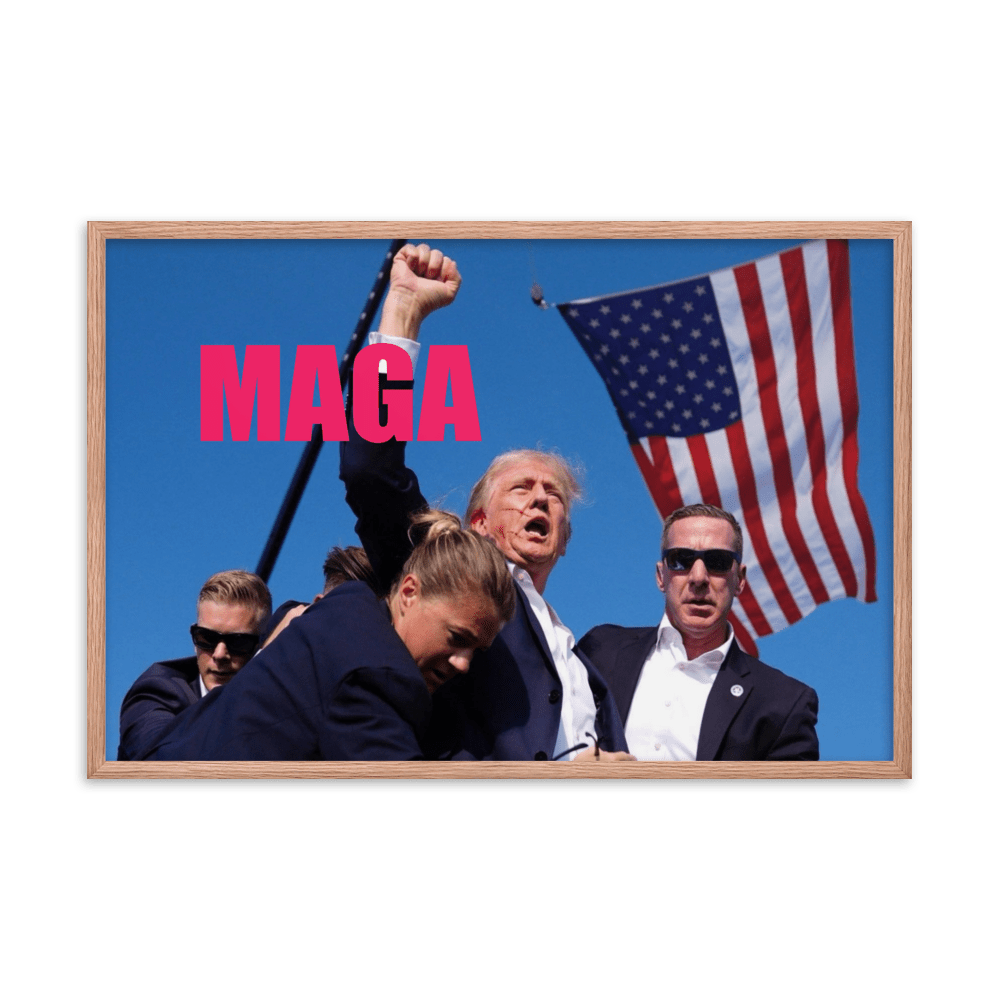 Attempted Assassination of Donald Trump - Framed Matte Poster Home & Garden > Decor > Artwork > Posters, Prints, & Visual Artwork