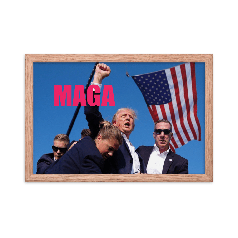 Attempted Assassination of Donald Trump - Framed Matte Poster Home & Garden > Decor > Artwork > Posters, Prints, & Visual Artwork