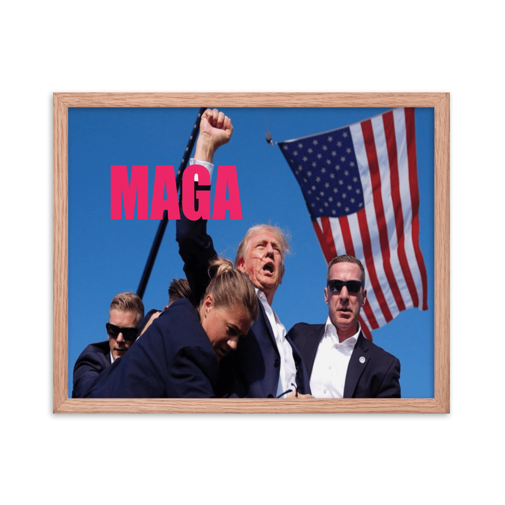 Attempted Assassination of Donald Trump - Framed Matte Poster Home & Garden > Decor > Artwork > Posters, Prints, & Visual Artwork