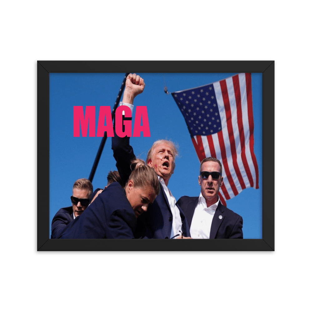 Attempted Assassination of Donald Trump - Framed Matte Poster Home & Garden > Decor > Artwork > Posters, Prints, & Visual Artwork