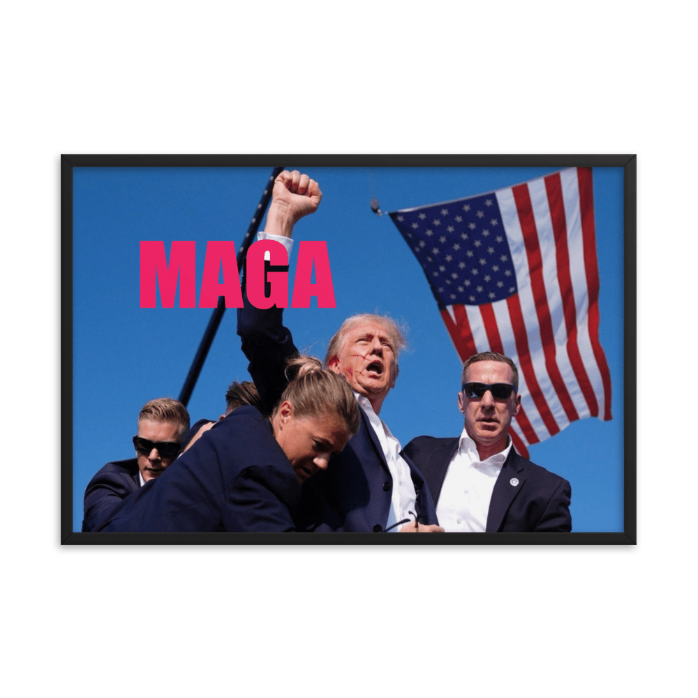 Attempted Assassination of Donald Trump - Framed Matte Poster Home & Garden > Decor > Artwork > Posters, Prints, & Visual Artwork