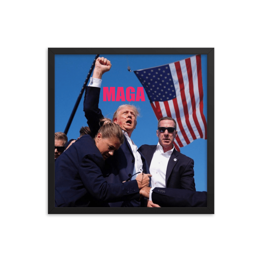 Attempted Assassination of Donald Trump - Framed Matte Poster Home & Garden > Decor > Artwork > Posters, Prints, & Visual Artwork