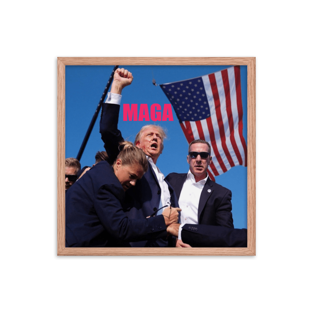 Attempted Assassination of Donald Trump - Framed Matte Poster Home & Garden > Decor > Artwork > Posters, Prints, & Visual Artwork