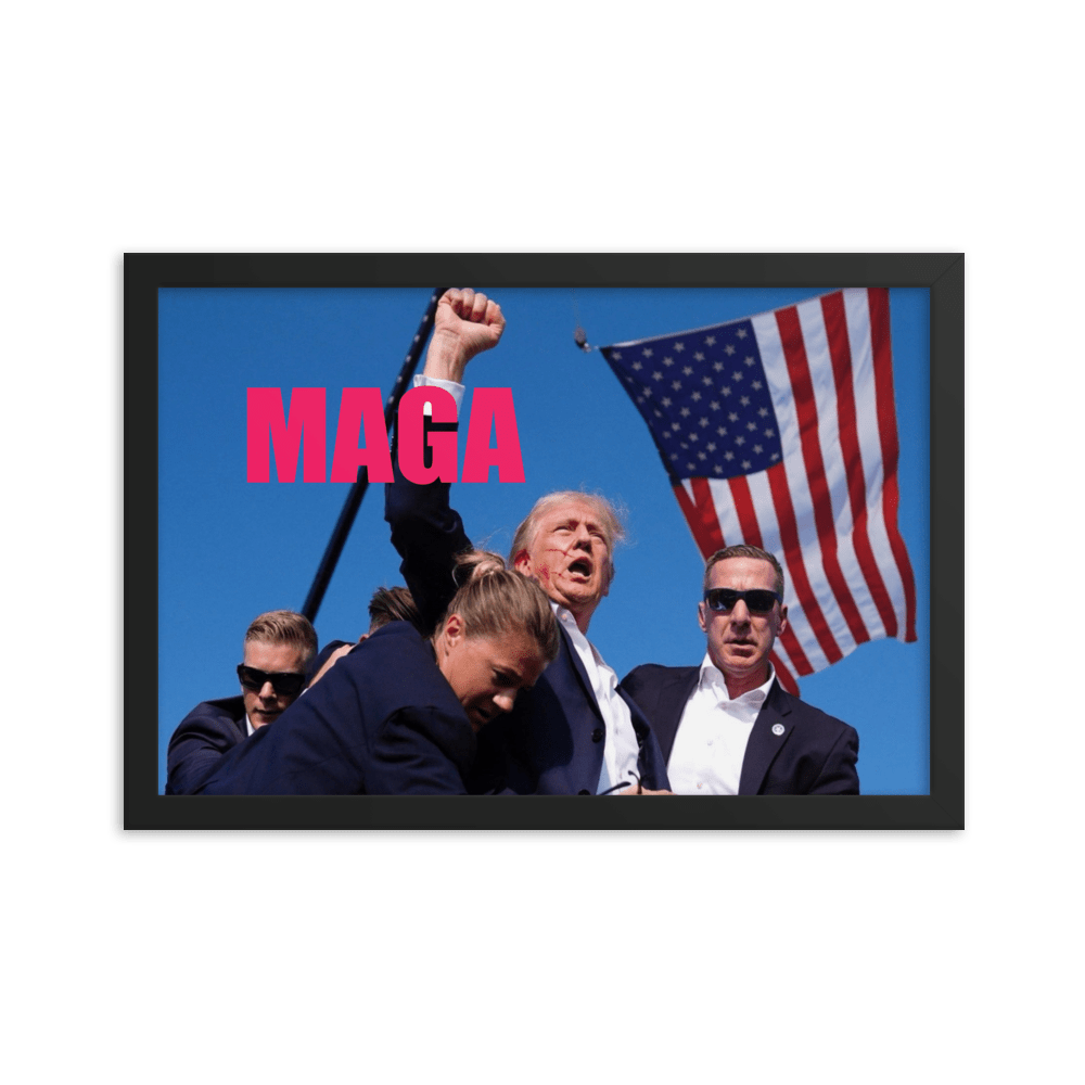 Attempted Assassination of Donald Trump - Framed Matte Poster Home & Garden > Decor > Artwork > Posters, Prints, & Visual Artwork