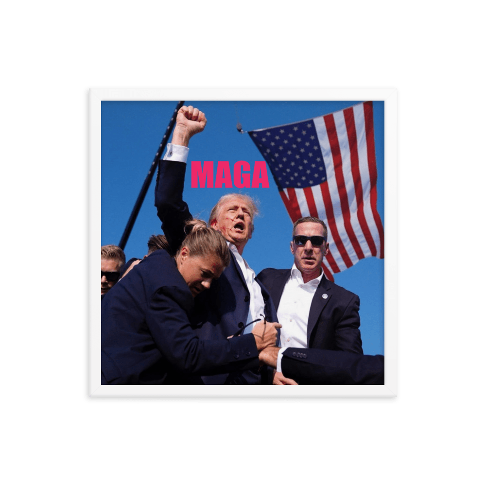 Attempted Assassination of Donald Trump - Framed Matte Poster Home & Garden > Decor > Artwork > Posters, Prints, & Visual Artwork