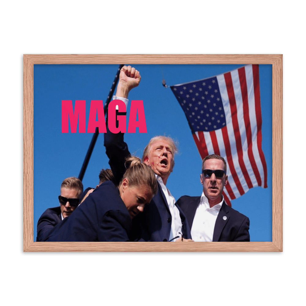 Attempted Assassination of Donald Trump - Framed Matte Poster Home & Garden > Decor > Artwork > Posters, Prints, & Visual Artwork