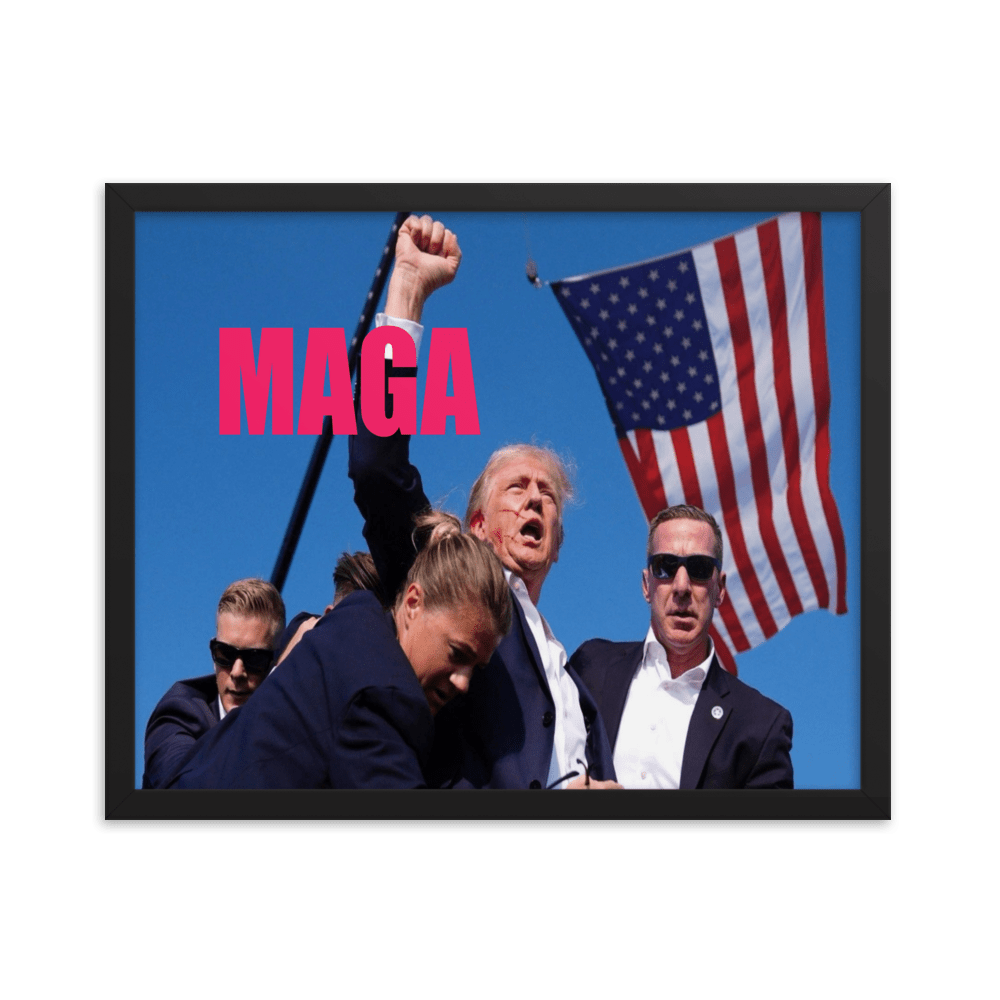 Attempted Assassination of Donald Trump - Framed Matte Poster Home & Garden > Decor > Artwork > Posters, Prints, & Visual Artwork