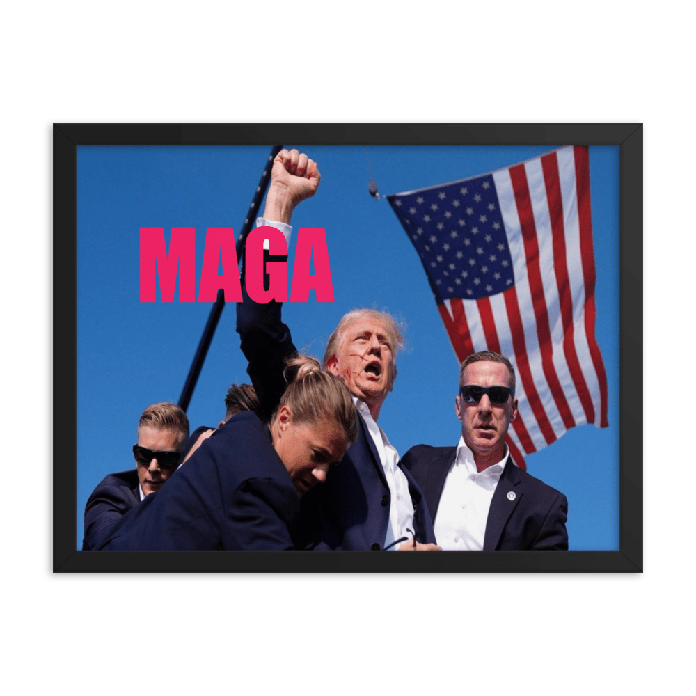 Attempted Assassination of Donald Trump - Framed Matte Poster Home & Garden > Decor > Artwork > Posters, Prints, & Visual Artwork