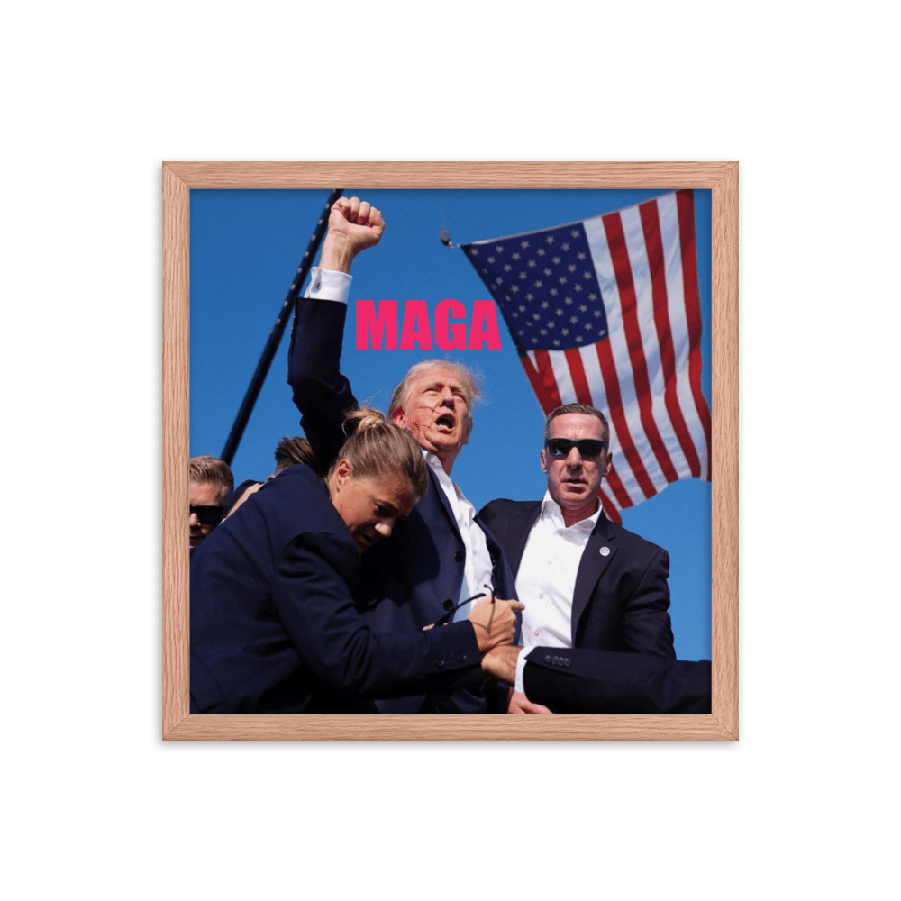 Attempted Assassination of Donald Trump - Framed Matte Poster Home & Garden > Decor > Artwork > Posters, Prints, & Visual Artwork